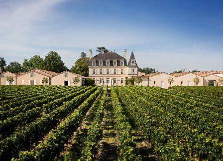 bordeaux-pauillac-GRAND_PUY_LACOSTE_021