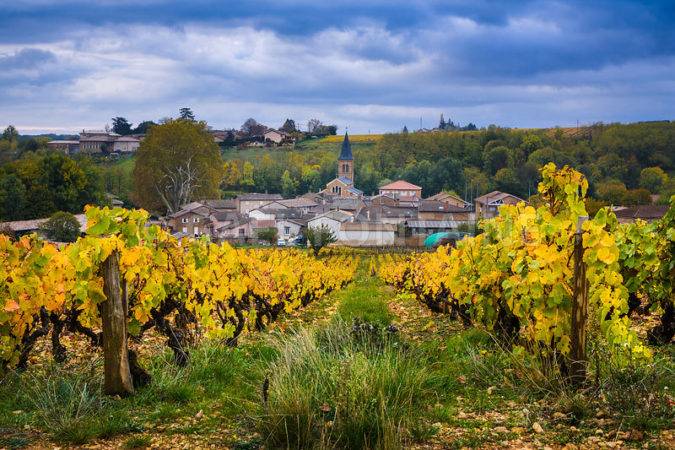 Village in Beaujolais land and vineyards during fall season