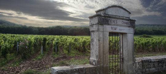 chambertin