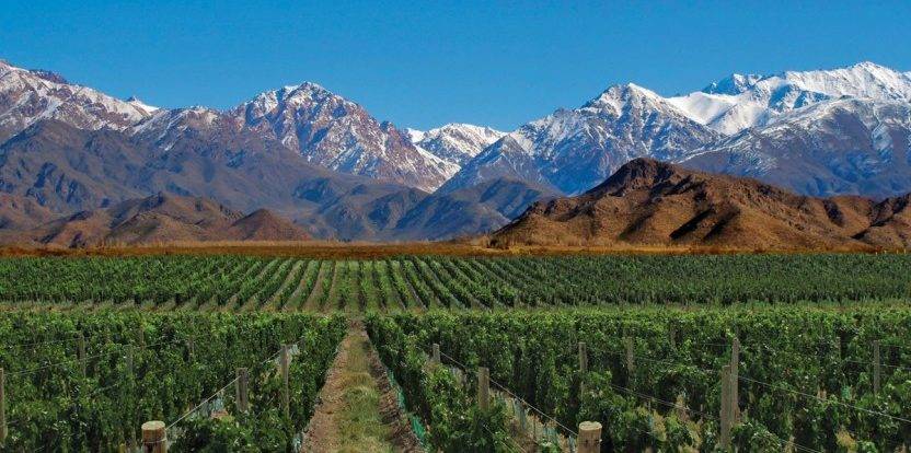 malbec-mendoza