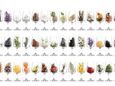 Aroma vína | Gourmetspirit.cz