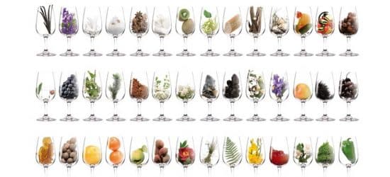 Aroma vína | Gourmetspirit.cz