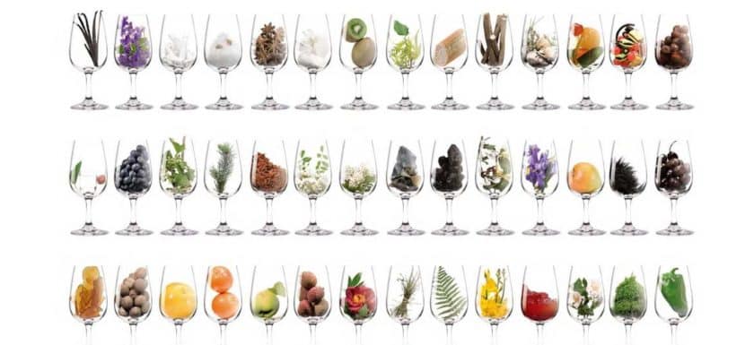 Aroma vína | Gourmetspirit.cz