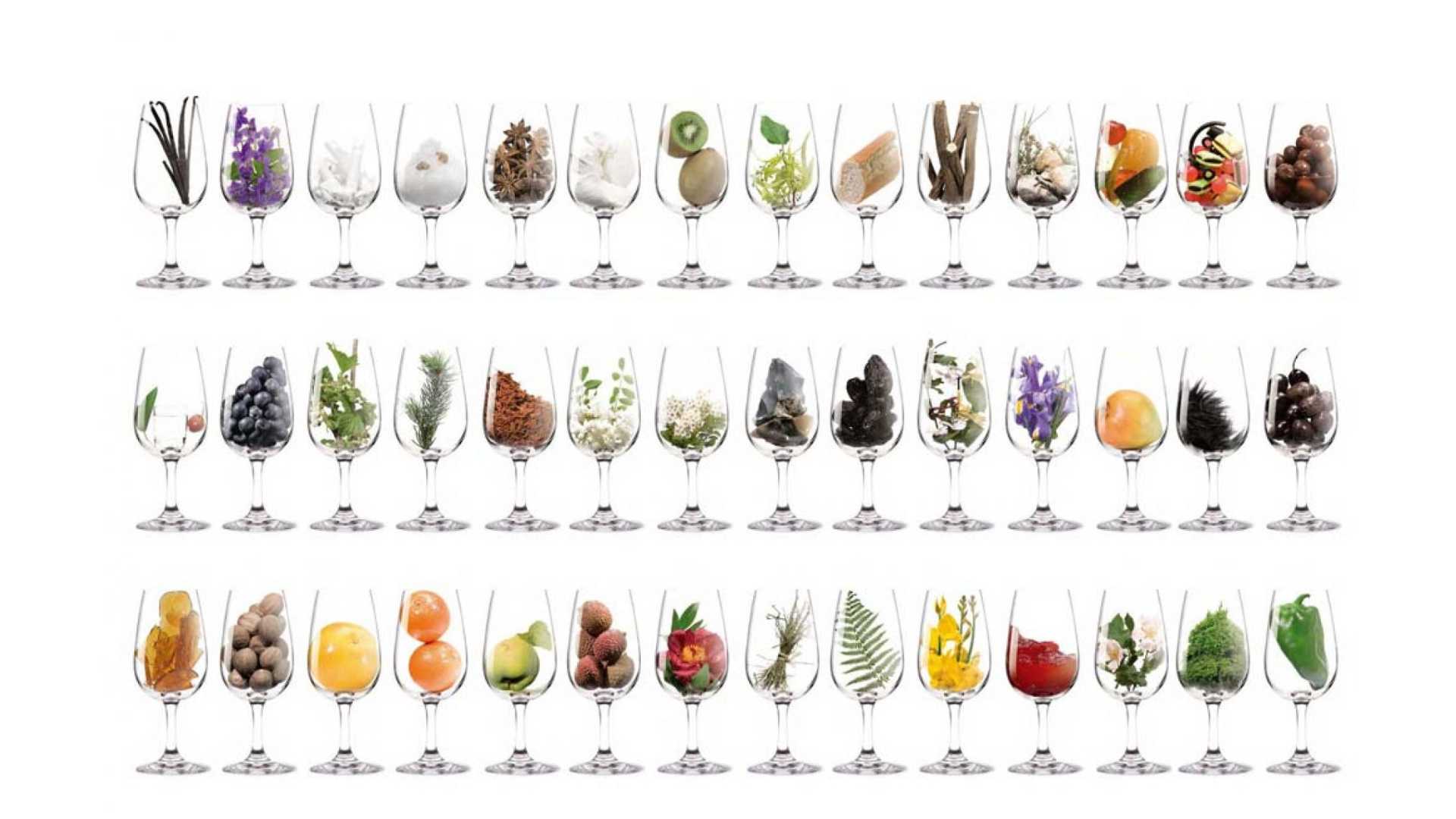 Aroma vína | Gourmetspirit.cz