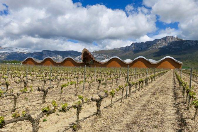 tempranillo-rioja-vineyards