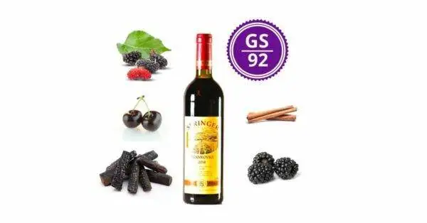 <B>Pavel Springer - Frankovka 2018 </B><BR> The best Blaufränkisch from Czechia