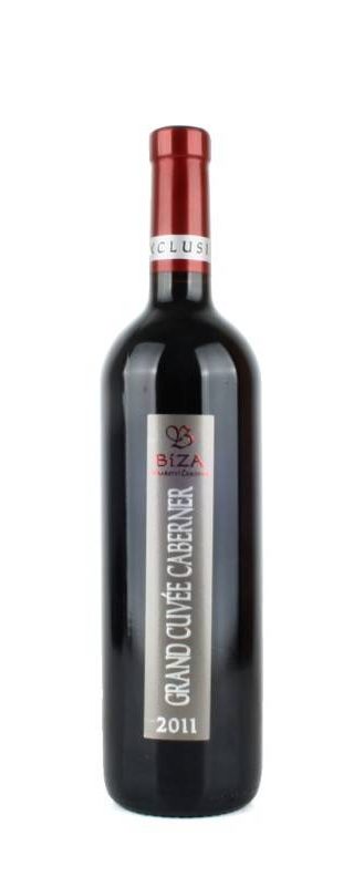 Nejlepší Cabernet Sauvignon Česka - Bíza - Caberner