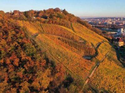 vinařství Zilvar Wines