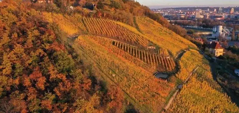 vinařství Zilvar Wines