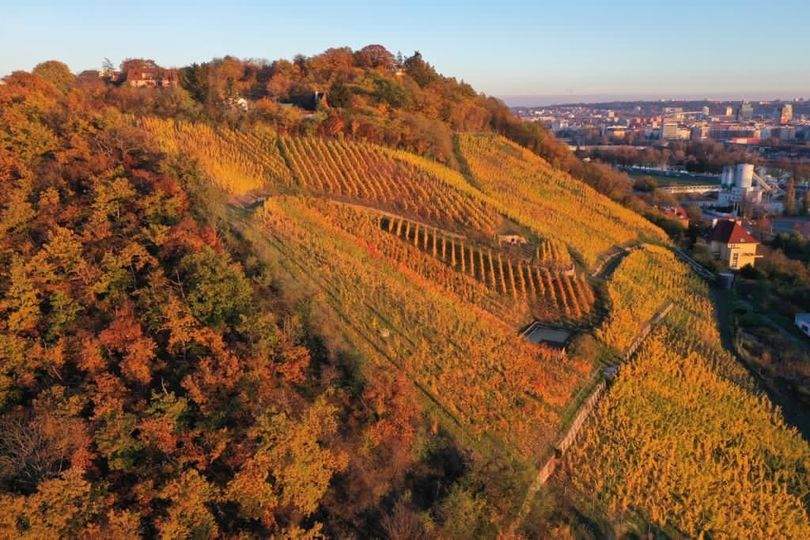 vinařství Zilvar Wines