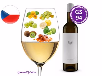 Fabig Big Sauvignon 2019 | GourmetSpirit.cz