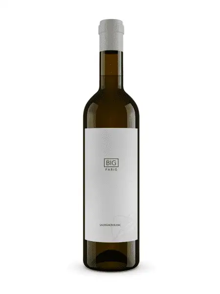 <B>Vinařství Fabig - Big Fabig Sauvignon 2020 </B><BR> Nejlepší Sauvignon Blanc z ČR - Image 2
