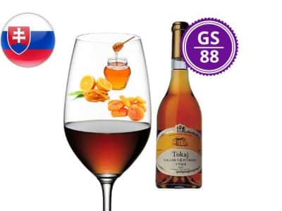 Chateau Viničky Tokajské 6-putňové 2009 | GourmetSpirit.cz
