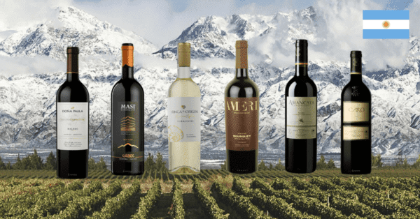 Degustační sada špičkových vín z Argentiny (6ks x 0.75l)