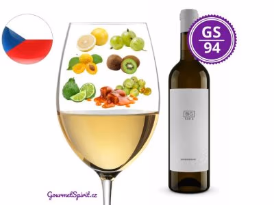 Fabig Big Sauvignon 2020 | Gourmetspirit.cz