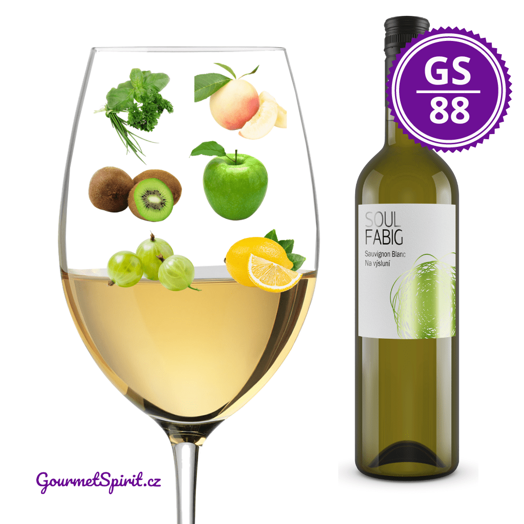 Fabig Sauvignon Blanc Na výsluní 2019