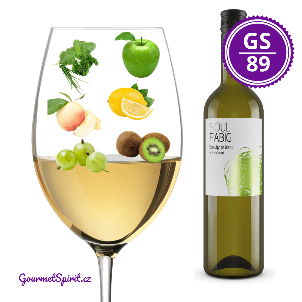 Fabig Sauvignon Blanc Na výsluní 2020