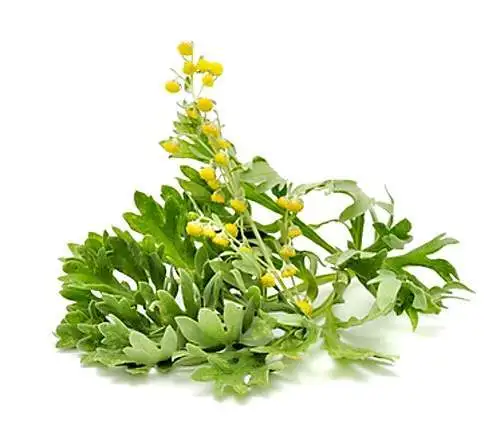 Aroma vína - luční květy