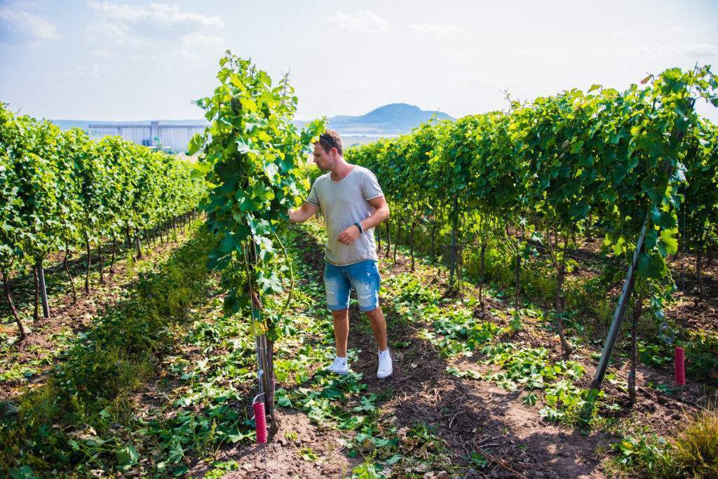 Roman Fabig na gourmetspriti.cz