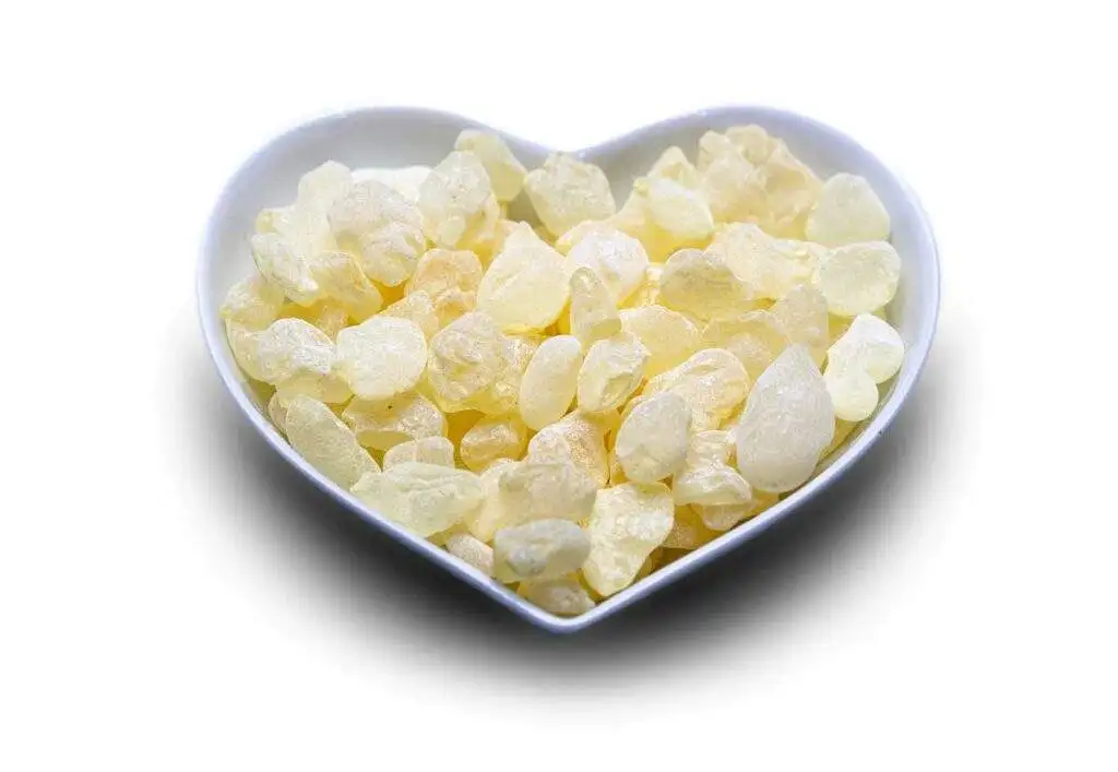Aroma vína - pryskyřice