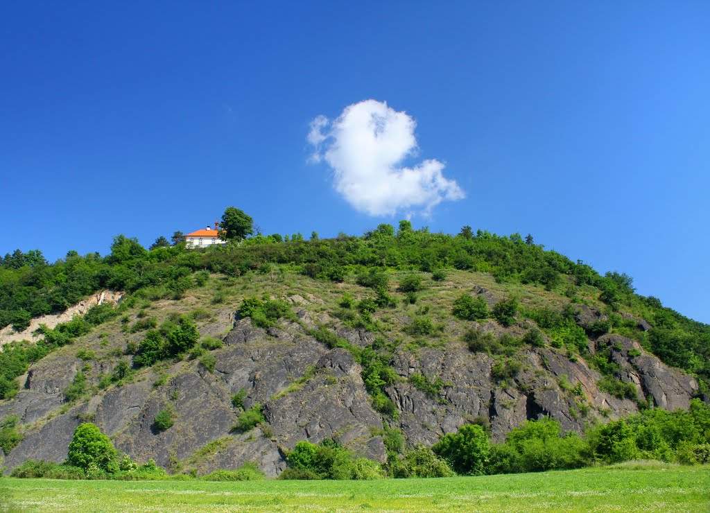 Vinařství Jabloňka na Černém kopci