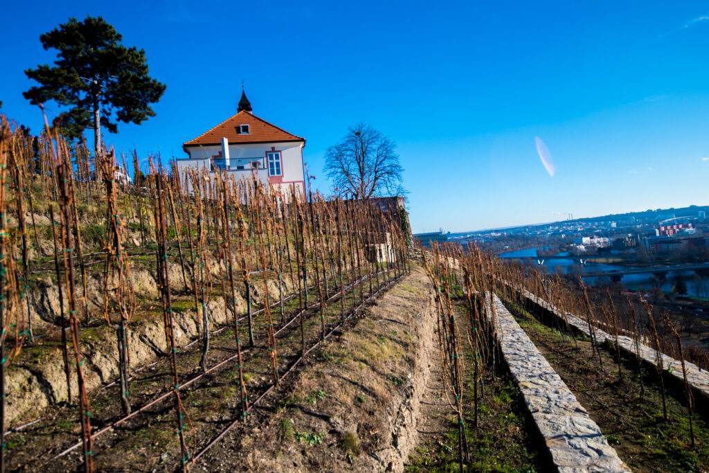 Vinařství Jabloňka - výhled na Vltavu