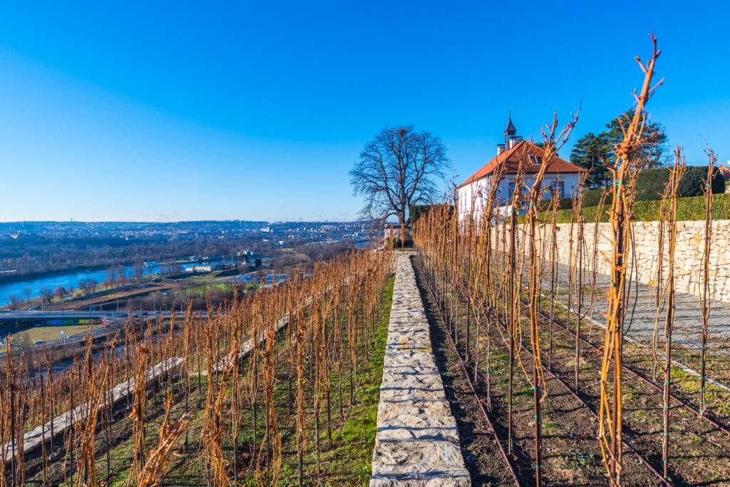 Vinařství Jabloňka - nádherný výhled na zimní Prahu