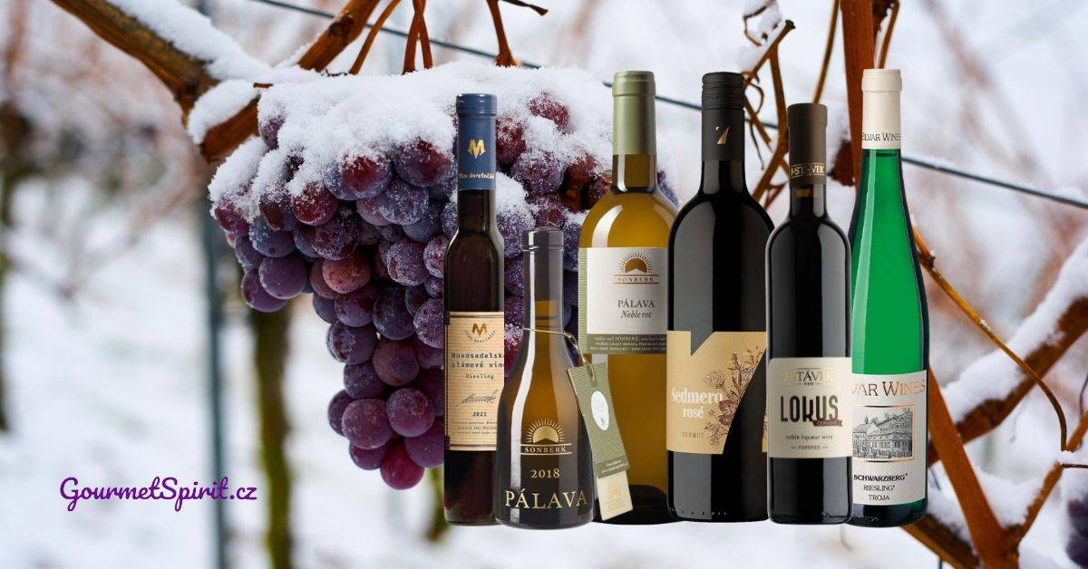 Nejlepší sladká vína Česka - Žebříček nejlepších vín podle GourmetSpirit.cz