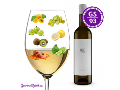 <B>Vinařství Fabig - Big Fabig 2019 </B><BR> Dlouhodobě nejlépe hodnocený Sauvignon Blanc Česka