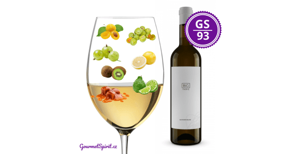 <B>Vinařství Fabig - Big Fabig 2019 </B><BR> Dlouhodobě nejlépe hodnocený Sauvignon Blanc Česka