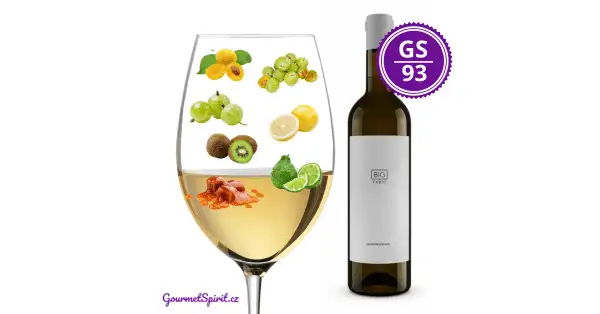 <B>Fabig Winery – Big Fabig Sauvignon 2019 </B><BR> The Best Czech Sauvignon Blanc