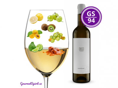 Fabig Big Sauvignon Blanc 2023