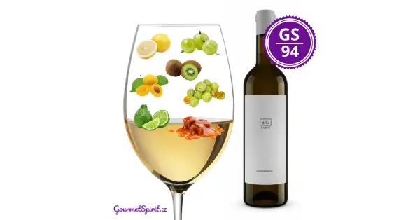 Fabig Big Sauvignon Blanc 2023