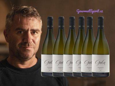 Gala Chardonnay Hermes Vertikála