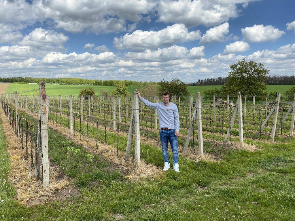 Vinařství Jiří Holešínský | Jiří Holešínský winery