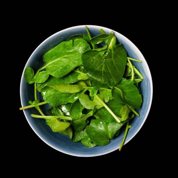 Salad-rericha-watercress