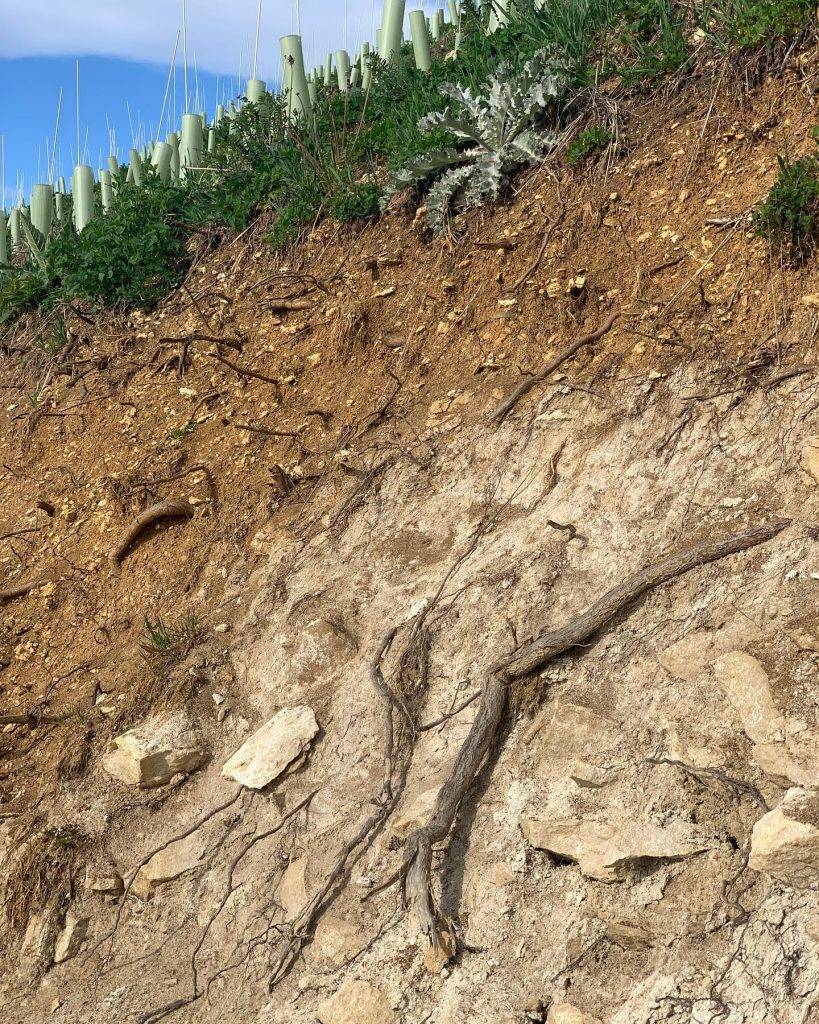 Weingut Tement | Vinařství Tement - Podloží vinice Grassnitzberg