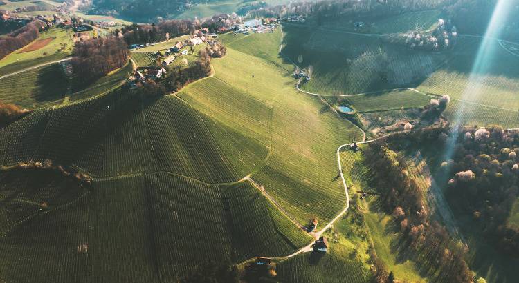 Weingut Tement | Vinařství Tement - Vinice Zieregg a pohled z ptačí perspektivy