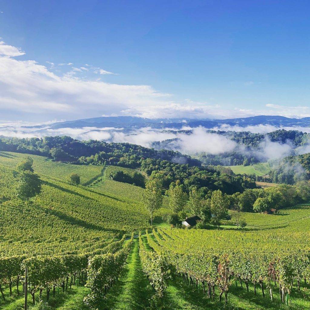 Weingut Tement | Vinařství Tement - Vinice Zieregg a výhled do Slovinska