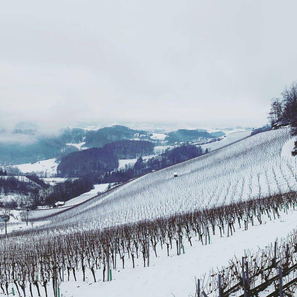 Weingut Tement | Vinařství Tement - Zieregg v zimě
