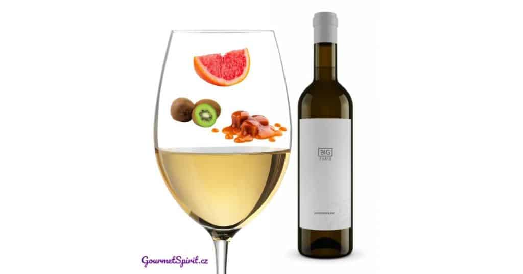 Fabig Big Fabig Sauvignon 2023 | GourmetSpirit.cz