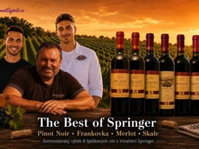Kolekce vín The Best of Springer | Gourmetspirit.cz
