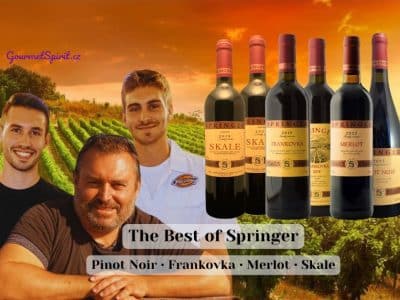 Kolekce vín The Best of Springer | Gourmetspirit.cz