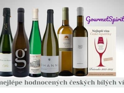 Nejlepší česká bílá suchá vína – degustační sada oceněných vín podle Wine & Degustation