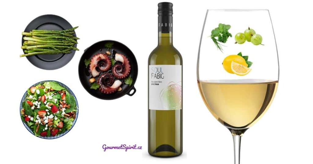 12 vín pro většinu jídel světa | Sauvignon blanc | Gourmetspirit.cz