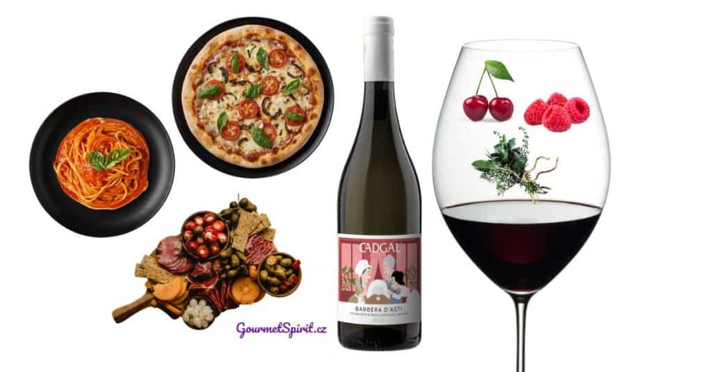 12 vín pro většinu jídel světa | Barbera | Gourmetspirit.cz