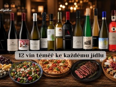 12 vín pro většinu jídel světa | Gourmetspirit.cz