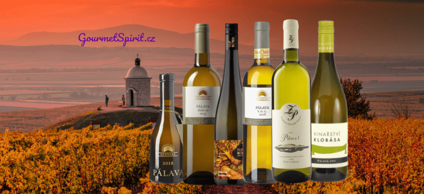 Nejlepší Pálava Česka - Žebříček GourmetSpirit.cz