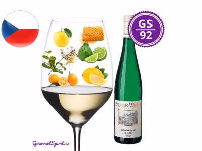 Zilvar Riesling Schwarzberg Feinherb 2022 | GourmetSpririt.cz