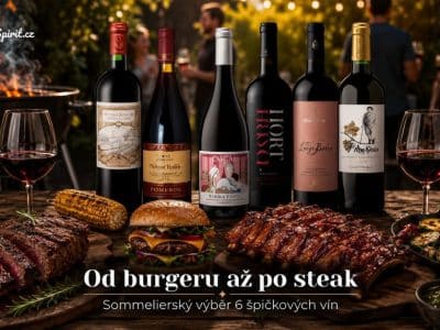 Červená vína ke grilování - Sada vín pro párování s jídlem | Gourmetspirit.cz